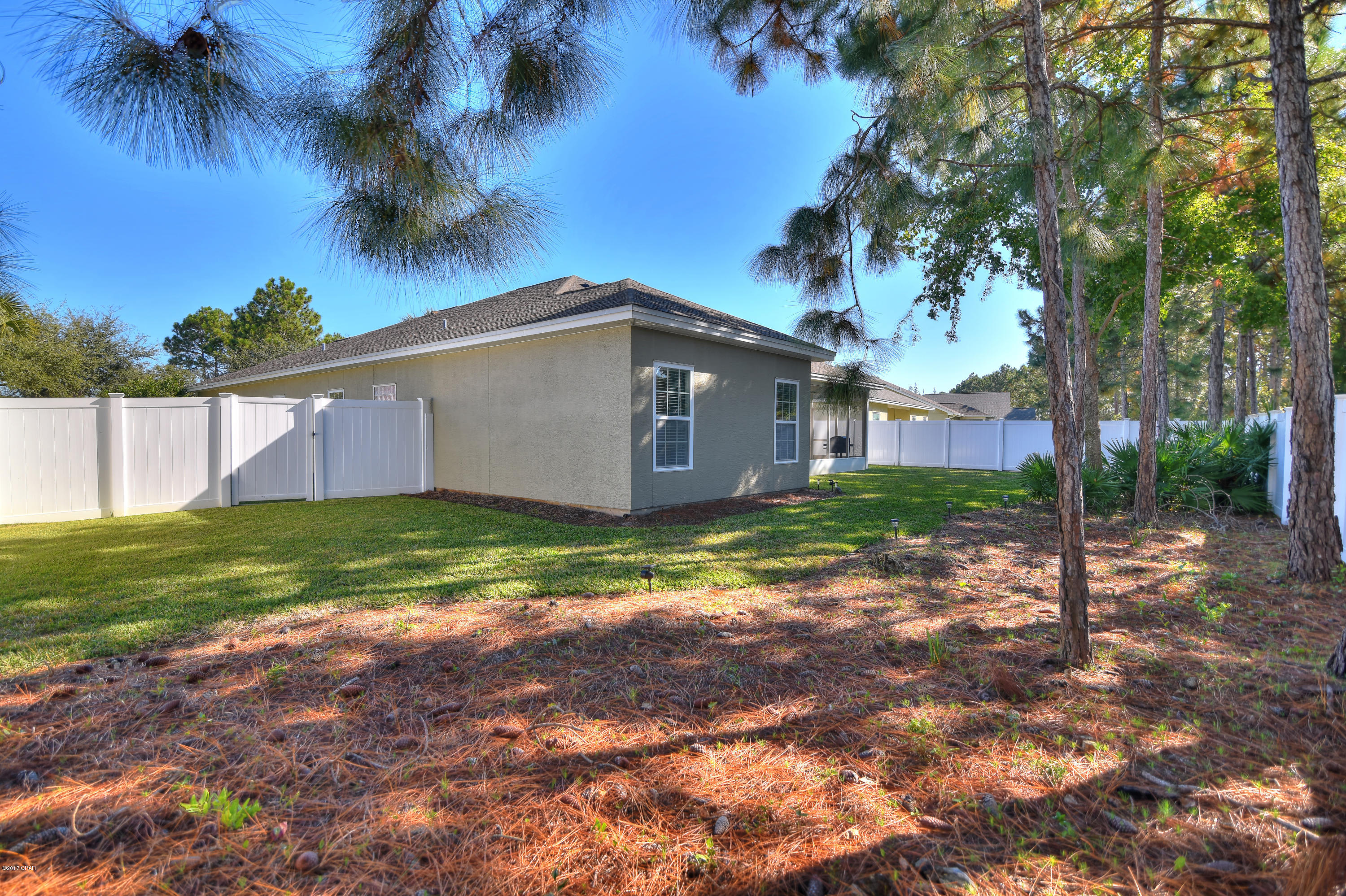 Palmetto Trace Phase IV - Residential