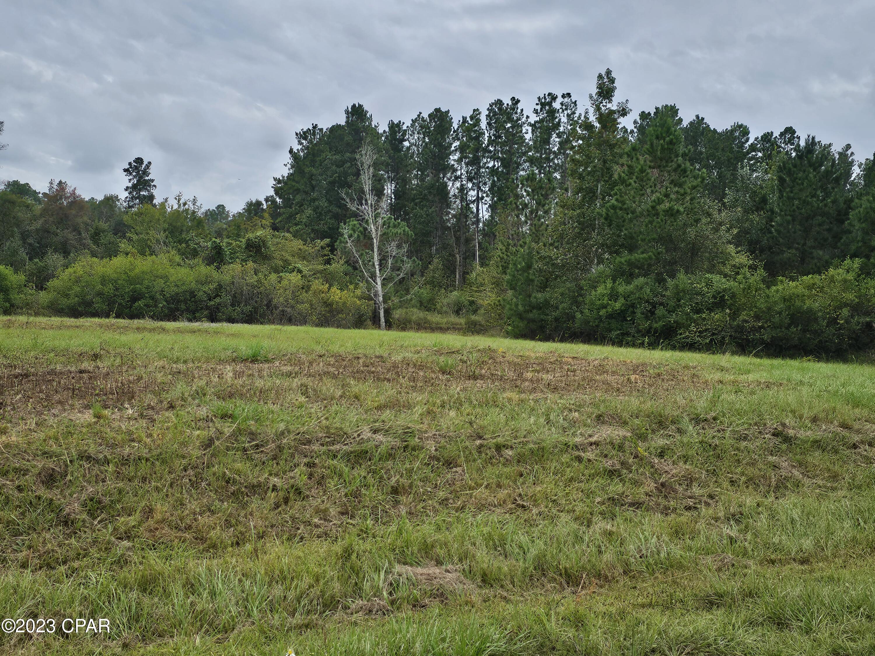 Kiersten Heights - Land