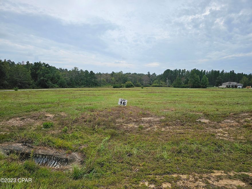 If you are looking for the perfect location in a small subdivision this is it.  Located just off of Hwy 77 South of Chipley.  It is approximately five miles from I-10 and about 30-40 minutes to Panama City.  There are deed restriction which prohibit manufactured and modular homes.  Under ground utilities, paved roaded and multiple lots are available. Photos in the listing are from multiple lots that are available.