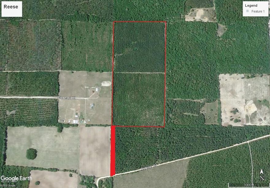 80 acres of planted pines. 40 acres of planted pines approximately 5 years old, the other 40 acres looks to be 10-12 years old and will need thinning soon. There is a 30 ft recorded easement to access the property through timber company land. Good hunting and good investment.