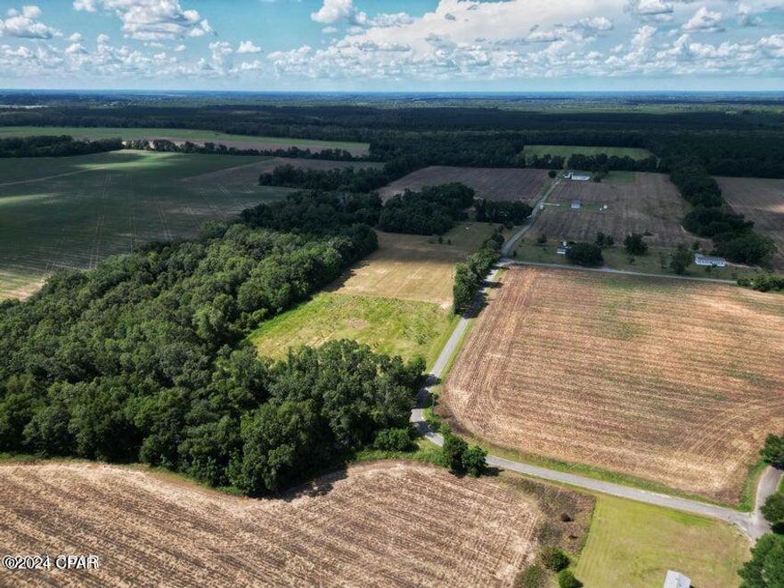 Discover your next opportunity with this expansive 8.33-acre parcel of vacant land, ideally located on a mill topped road in the charming town of Campbellton, Florida. This property offers a versatile canvas for a variety of possibilities, whether you're considering a homestead, a farm, or an investment property. Situated in a peaceful rural setting, this land provides the perfect blend of seclusion and accessibility. Surrounded by the beauty of Florida's countryside, you'll have ample space for horses, gardens, or simply enjoying the serenity of wide-open spaces. This is a rare chance to own a piece of Florida's landscape where your vision can take shape. Whether you're looking to build your dream home or explore agricultural opportunities, this property is ready to bring your ideas to life. Don't miss out on creating something truly special in a location that offers both rural charm and convenience.