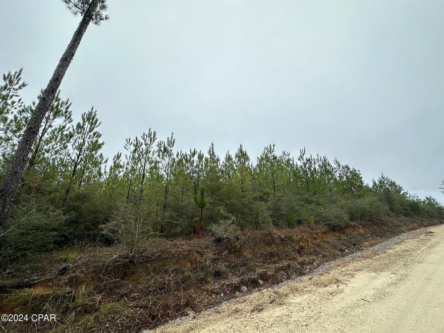 Dream Location for Country Living or Hunters Paradise either way you won't want to miss this opportunity! This Beautiful 23.46+/- Acres of prime land has so much to offer,Planted Pine- young pines. Bring your build plans, hunting gear, Horses and ATVS LOCATION LOCATION!!!! This Property has Easy Access to Panama City Beaches I-10, Hwy 79, and Hwy 90. DEED RESTRICTIONS. SEE DOCUMENTS