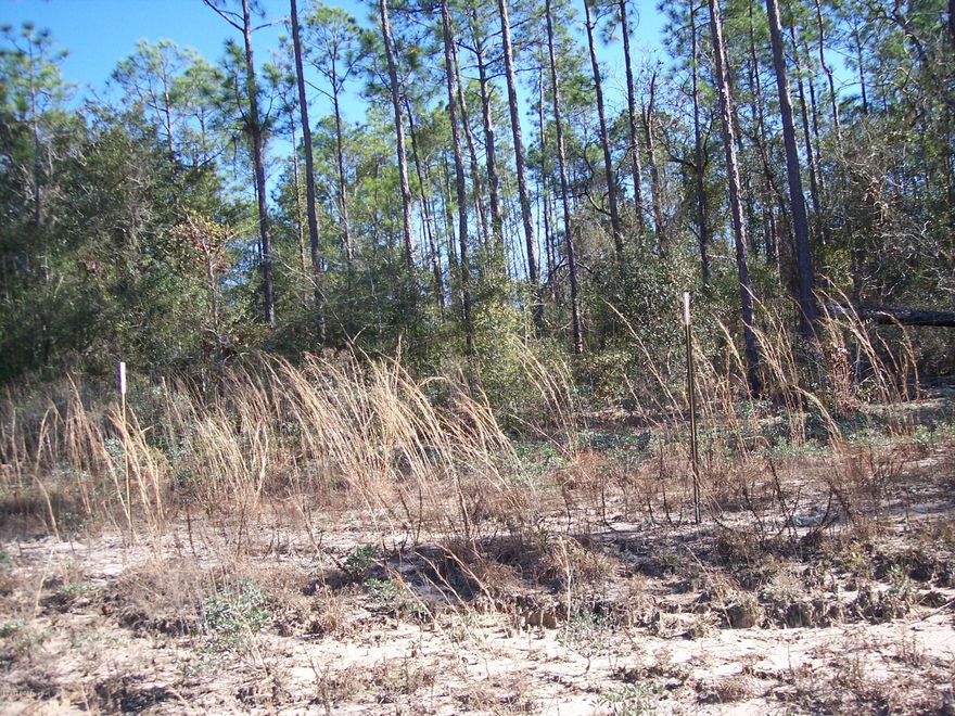 Water view Lots!! Porter Lake Features approx. 990 acres of beautiful water for free year round fishing. See photos. Lots are lightly wooded, divided, and ready to build on or for a mobile home. These are across the road from waterfront with a nice concrete boat launch that anyone can use! Well and Septic are needed. Beautiful, quiet, area. Also a park area in vicinity for picnics. Get it right now for Spring and Summer use!