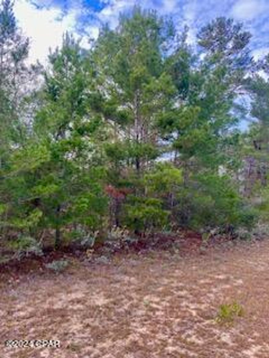 This residential lot is located in the tranquil and charming community of Sunny Hills, offering an exceptional opportunity to build your dream home in a serene, rural setting. Sunny Hills is known for its peaceful atmosphere and easy access to the entire Northwest Florida region, making it the ideal location for those seeking both privacy and convenience.

Enjoy the beauty of nature, scenic views, 18-hole golf course and quiet surroundings while being just a short drive from major attractions and amenities in Northwest Florida.