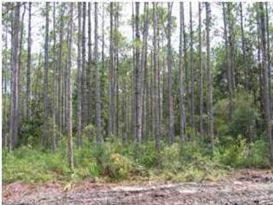 The lowest priced home site in the community!! Priced just reduced $1000.  Not a short sale! Investors, Builders and Home Owners take notice. Unbelievable Opportunity to build your dream home in Laird Point! Huge Price Reduction. This gated, waterfront community offers the perfect blend of privacy and proximity. All just minutes from Tyndall AFB, restaurants, and shopping. We have local builders and lenders that are very familiar with Laird Point and are ready to help. Laird Point offers City Water/Sewer and Underground utilities. Please call if you would like to schedule a personal tour of this property and Laird Point. Local bank now offering up to 90% financing on lot loans.