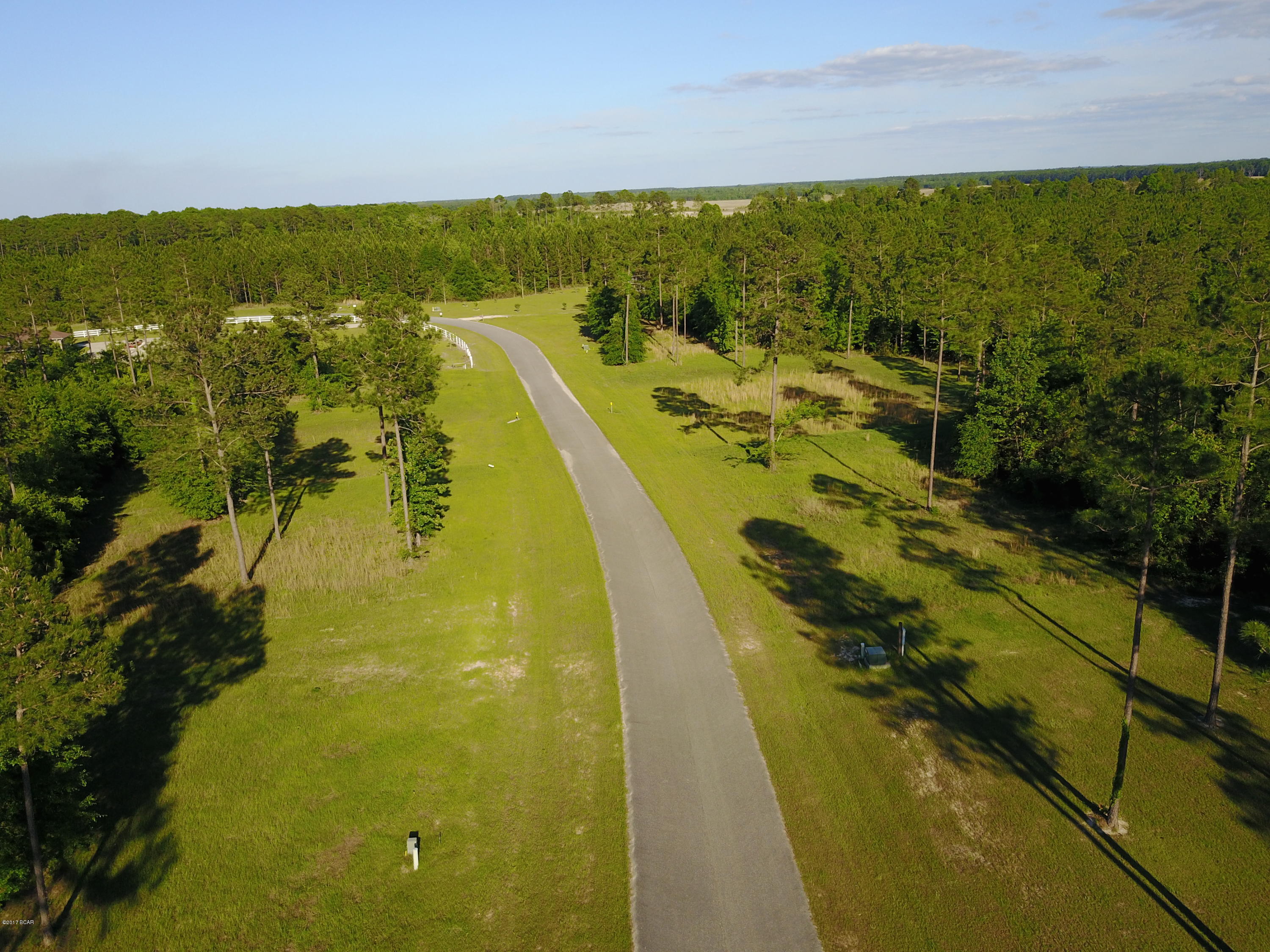Blue Springs Plantation - Land