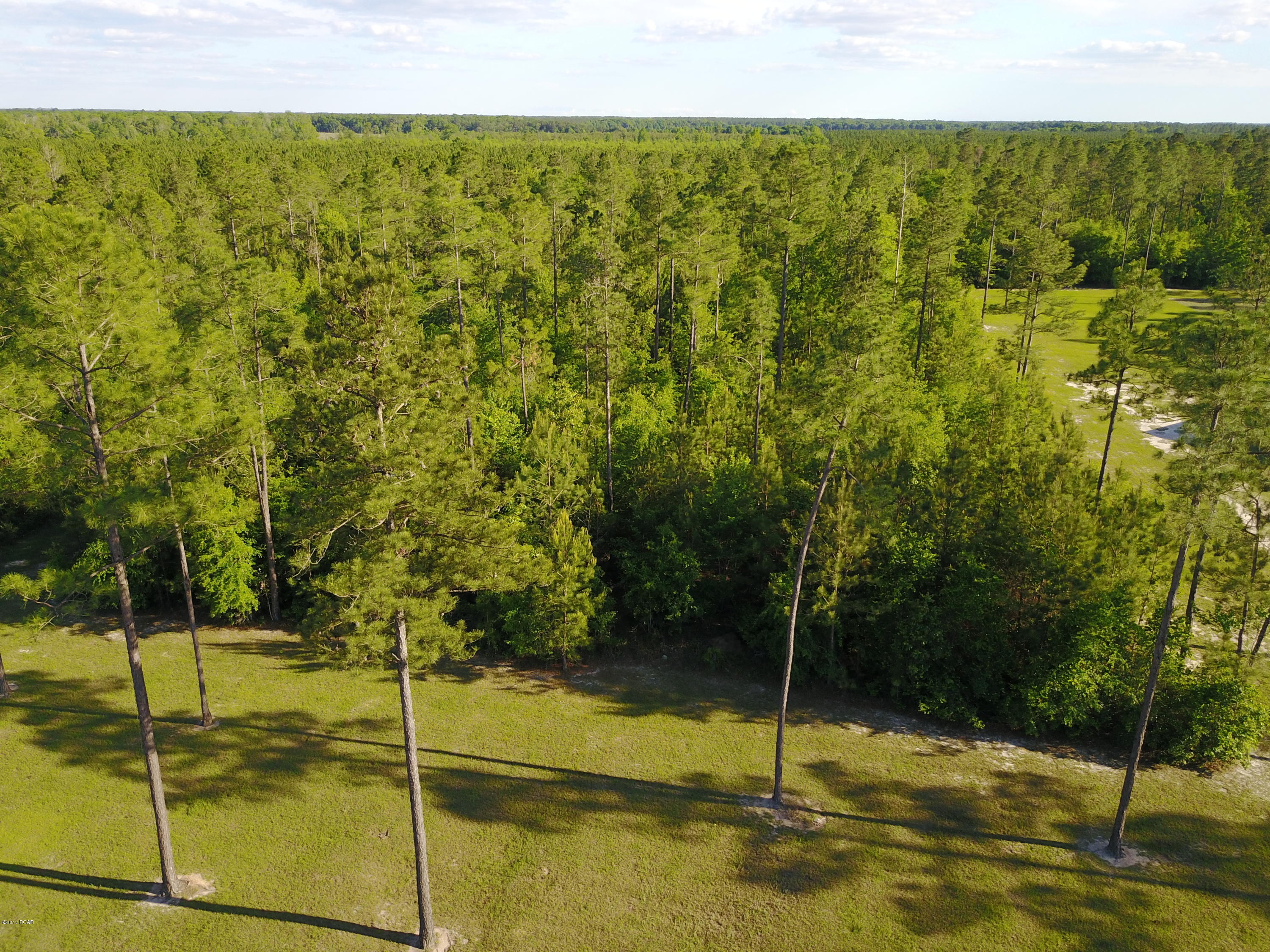 Blue Springs Plantation - Land