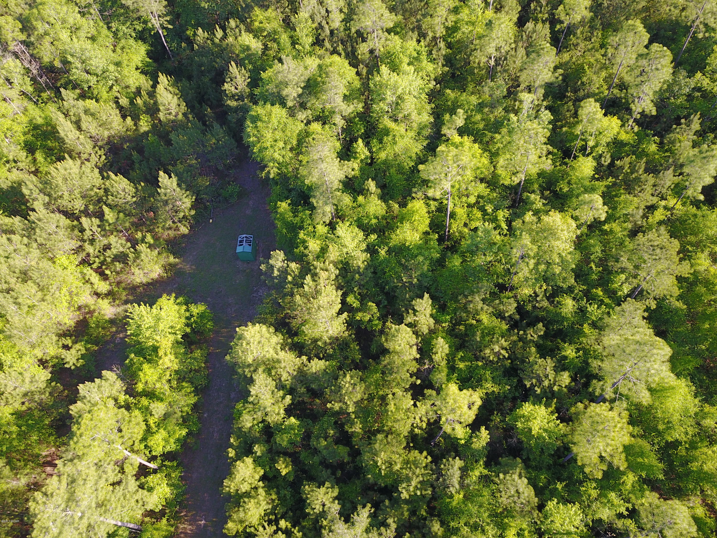 Blue Springs Plantation - Land