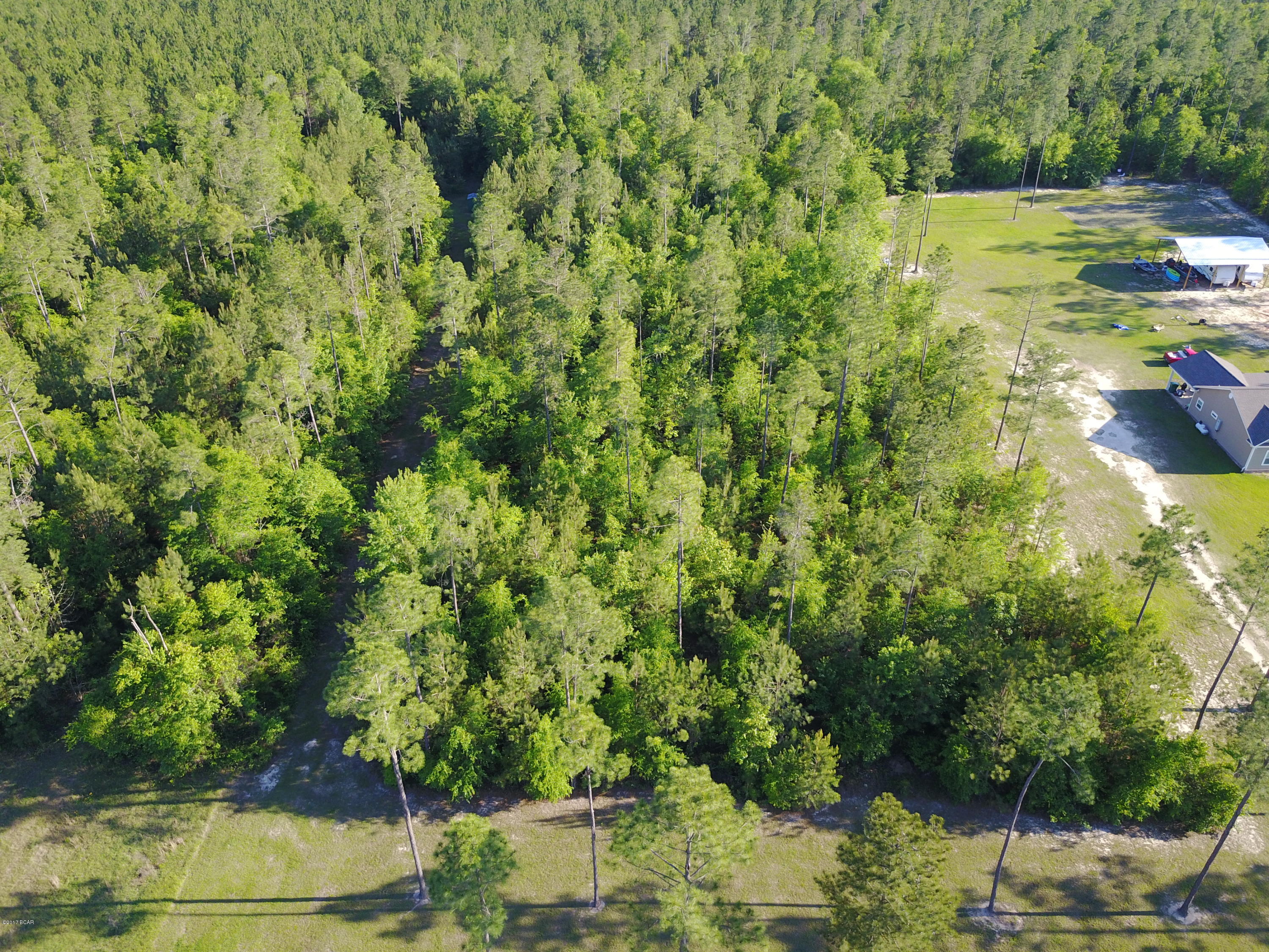 Blue Springs Plantation - Land