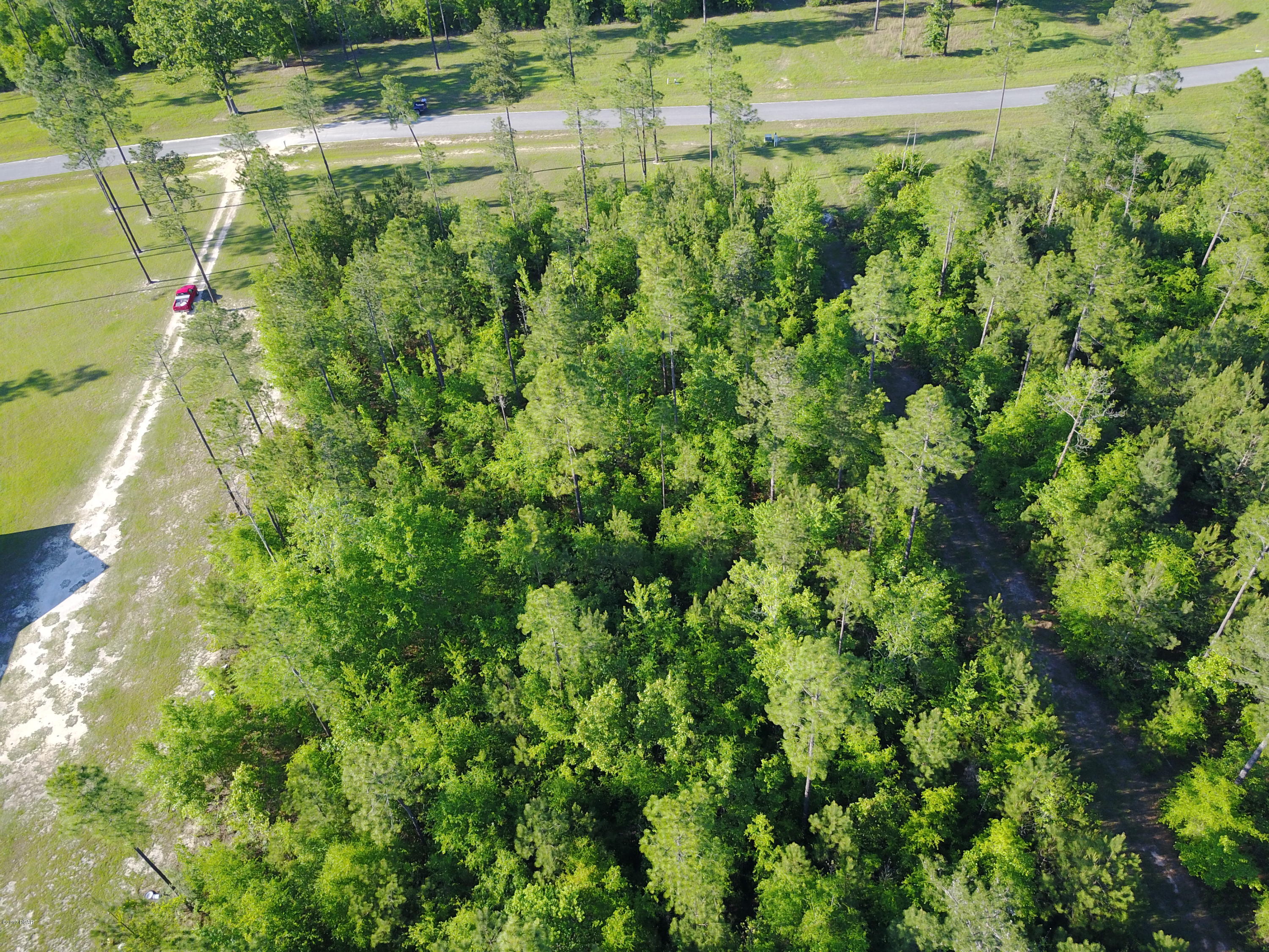 Blue Springs Plantation - Land