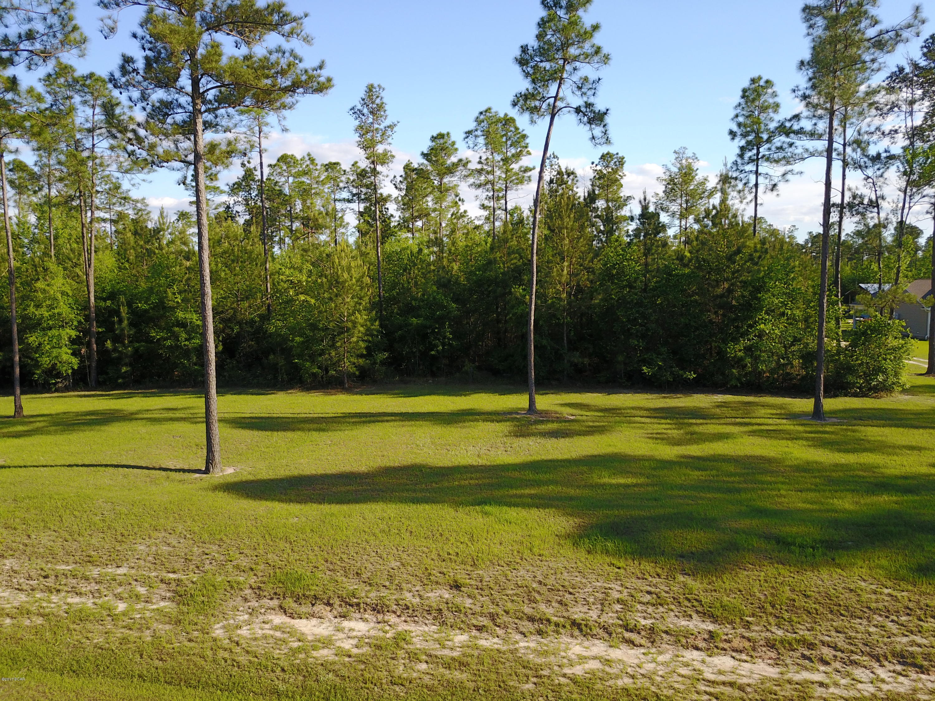 Blue Springs Plantation - Land