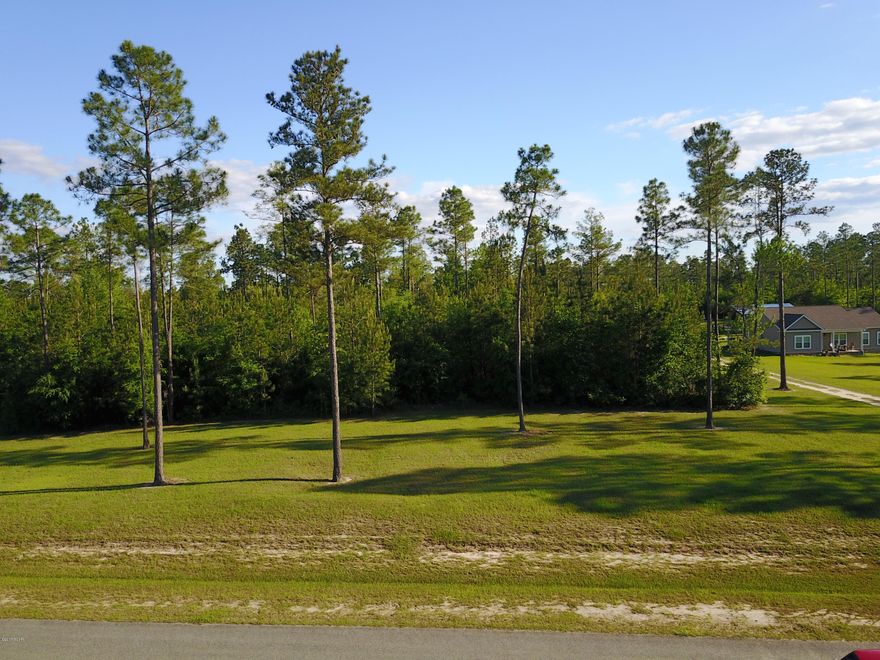 Tranquil Country Living on this Beautiful Residential Building lot located in Blue Springs Plantation Subdivision, a 310 acre slightly deed restricted rural community with 2, 5, 7 and 10 acre Farm and Home Sites.  This 2.17 Acre lot will offer lots of privacy and yard for pets and children. Located less than 10 miles from Marianna and less than 3 miles to Jackson County Blue Springs Recreational Park.  Build the house of your dreams on this very affordable lot.  Underground utilities, paved roads, and public water system available.