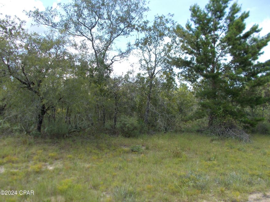 Nice level lot in Sunny Hills, there is a golf course and Boat Lake to enjoy in this subdivision  also Gap Pond is a great fishing lake, Build your dream home in this wooded setting. POWER IS AVAILABLE WITHIN 200 FT OF LOT