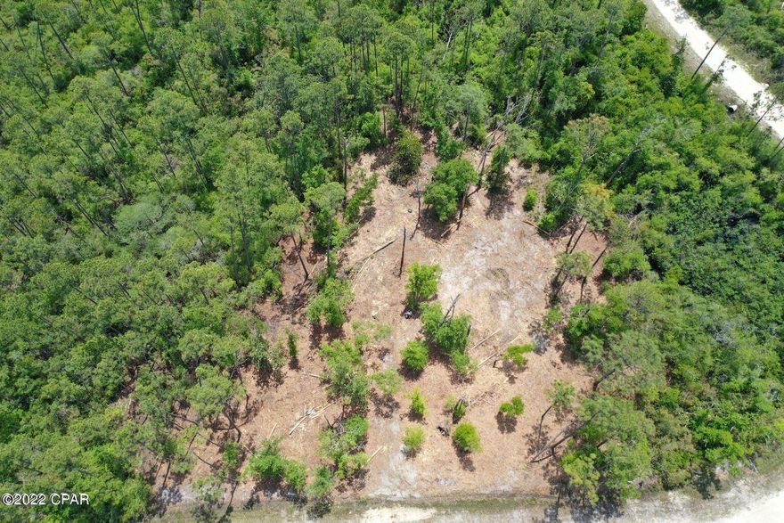 Hickory Bluff, named for the trees and high and dry land, here is a building lot, ready for a new construction or mobile home. Surrounded by new homes and a short distance to Fanning Bayou, fishing, boat ramp and just a few miles from Lynn Haven. The lot has with no association fees so bring your boat, RV, build a pole bar or workshop. Peaceful, quiet and ready to go today!  Choose from any we have for sale in Hickory Bluff community! Call for additional details.