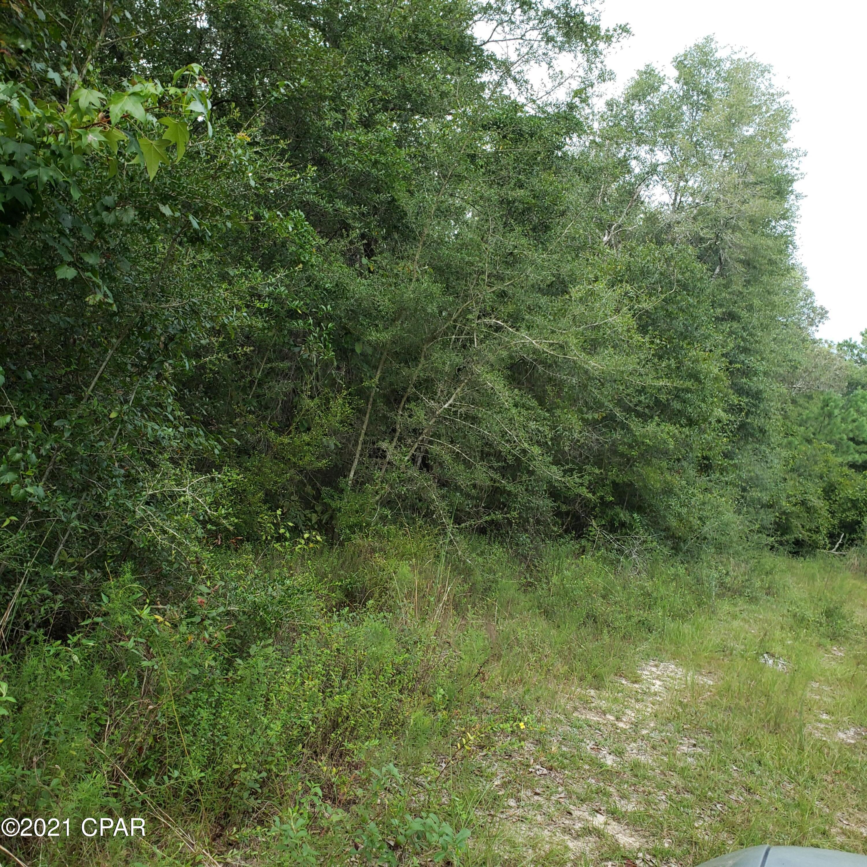 Dogwood Lakes - Land