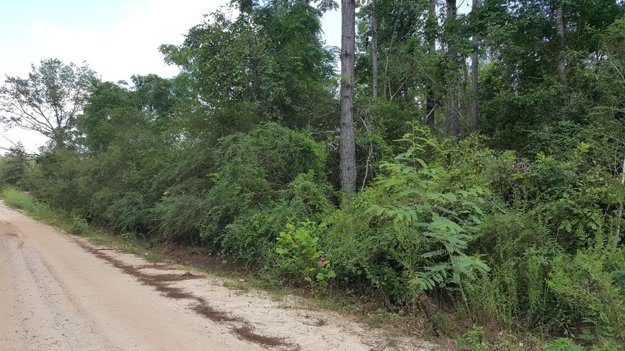 This nice wooded property is perfect for quiet country living.  The property is being sold ''As is''.  There is a mobile home of no value on the property that includes a well and septic.  The new buyer will need to put a new driveway in  and can no longer use neighbor's access.