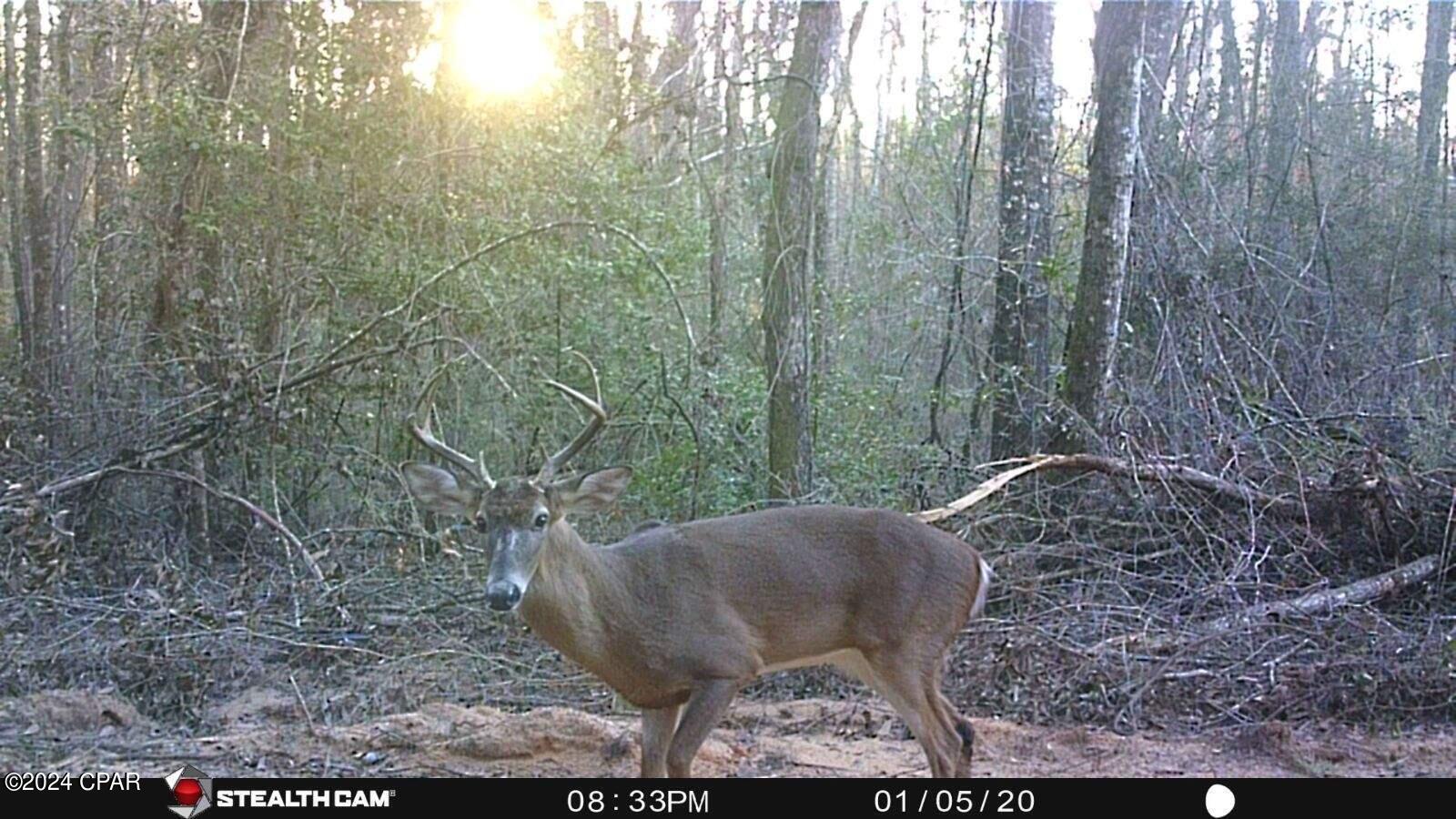 [No Recorded Subdiv] - Land