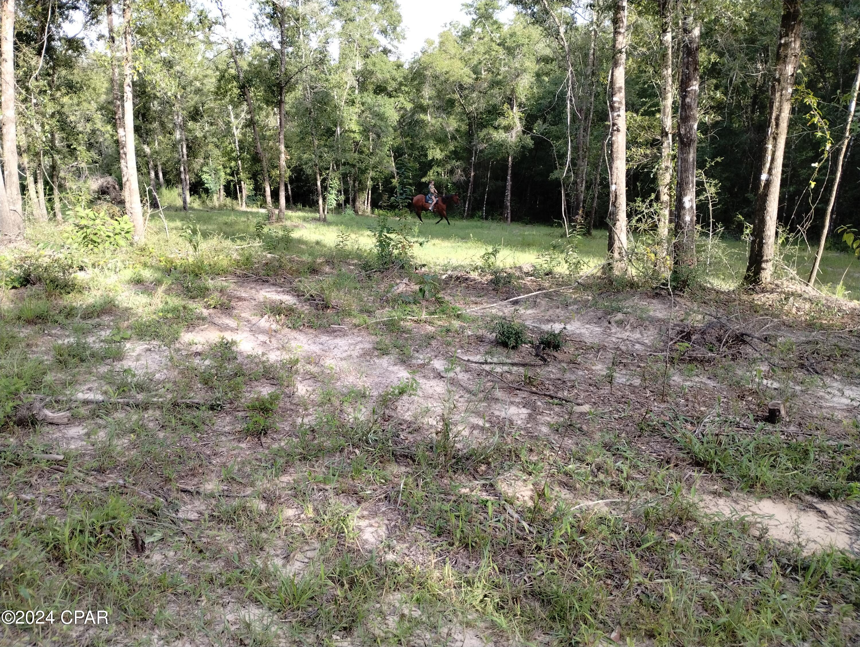 [No Recorded Subdiv] - Land