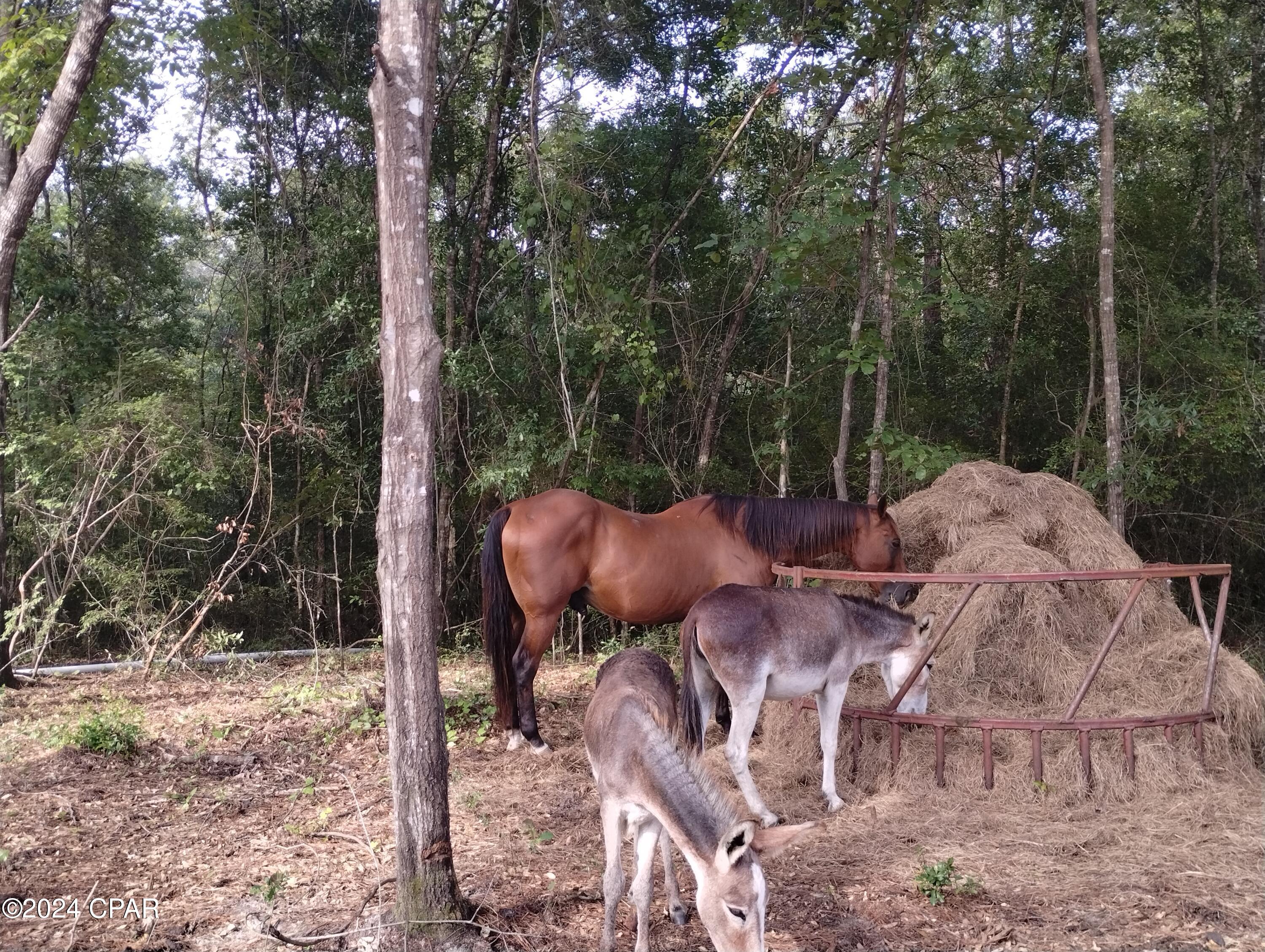 [No Recorded Subdiv] - Land