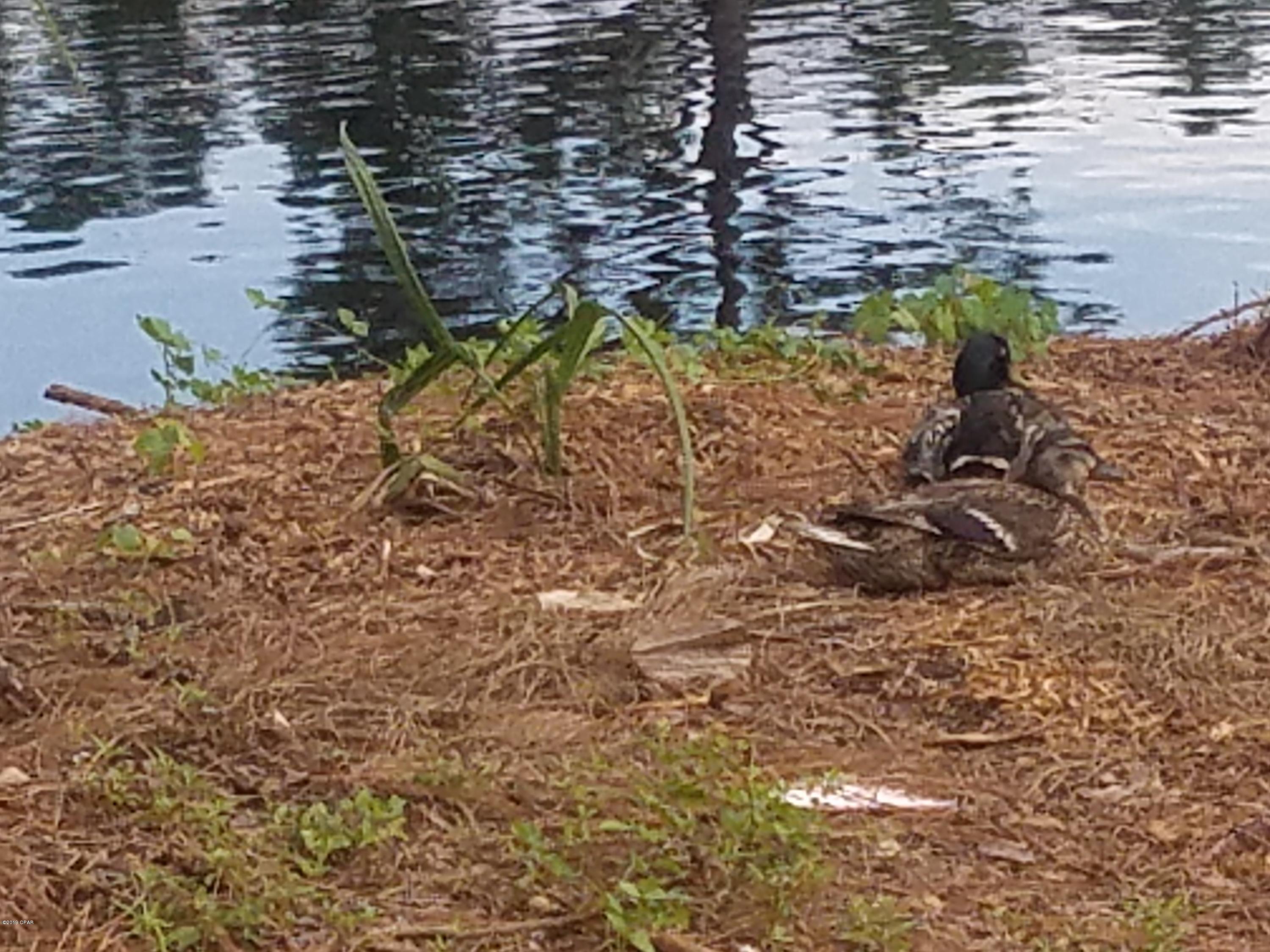 Bay Point Studio Villas Unit 3 - Residential