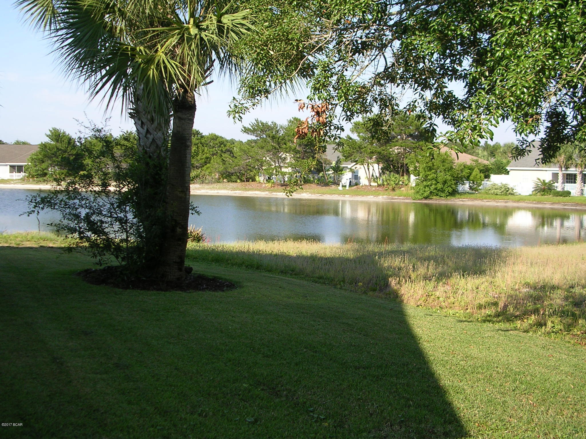 Palmetto Trace - Residential