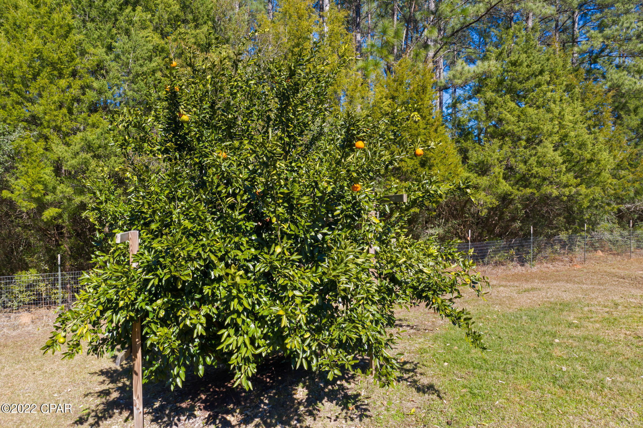 Cypress Cove - Residential