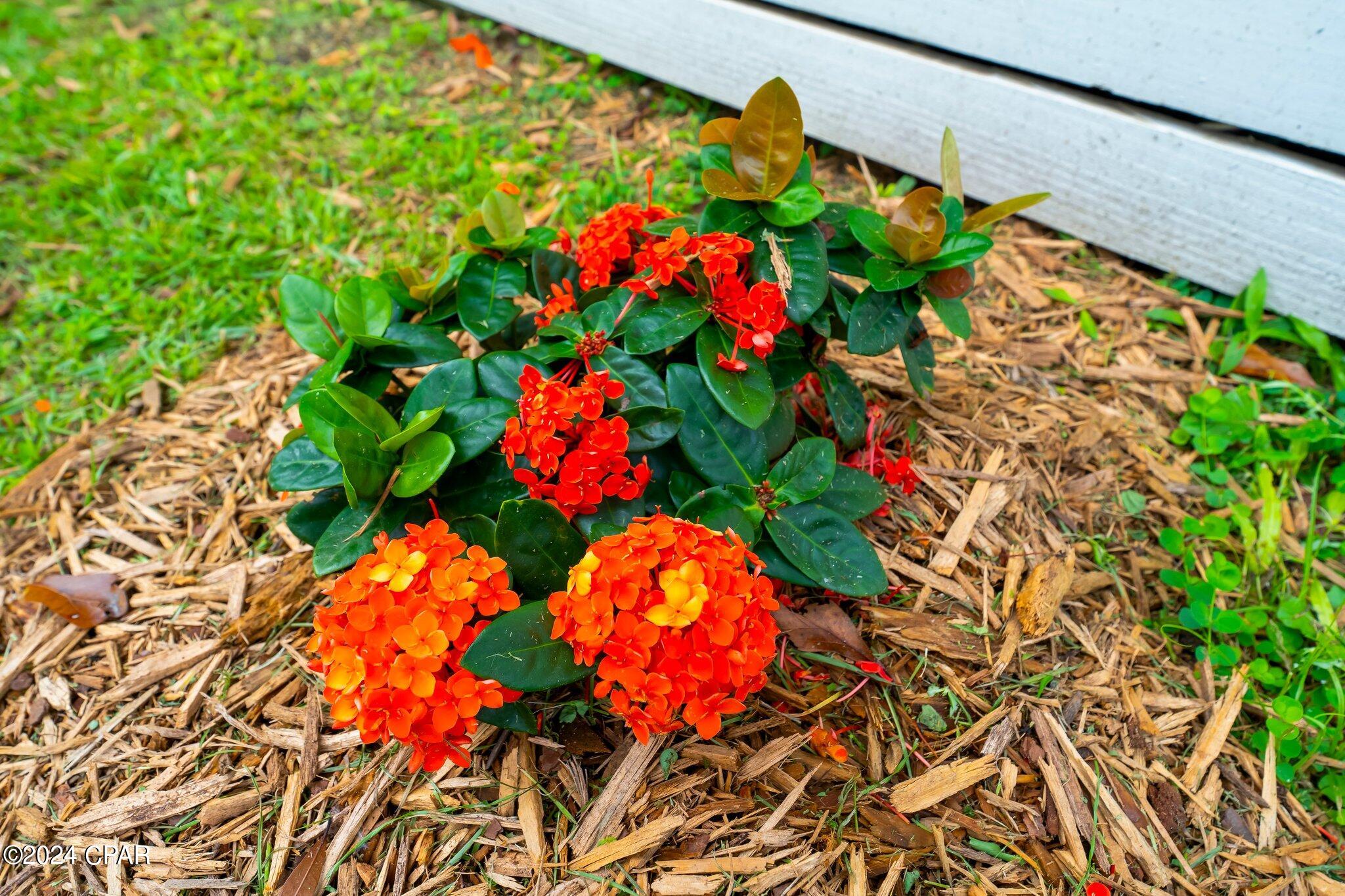 College Park - Residential