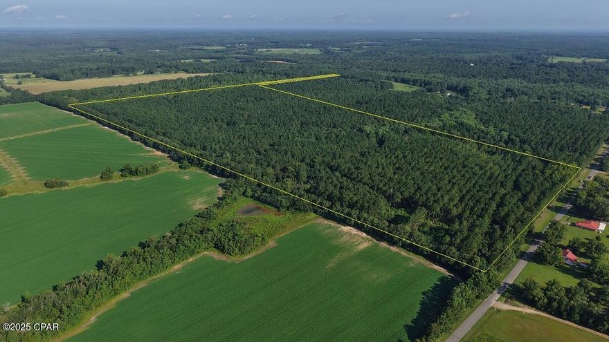 This property offers a well-rounded combination of recreation, investment, and future development opportunities. With paved road frontage and utilities including power and water available at the roadside, this beautiful property becomes even more desirable. The land remains undeveloped, giving a buyer the freedom to decide its future use. Multiple homesite possibilities exist across the acreage, whether for a primary residence, a hunting cabin, or a weekend retreat. The tract features mature pine timber that holds long-term harvest potential. Timber management presents an option for future income while also maintaining quality wildlife habitat. A perennial creek winds through the acreage, supplying water to the property and supporting the diverse game population. The combination of timber, water, and food sources helps create a balanced environment for wildlife management and hunting. The presence of a sizable agricultural field close by further contributes to healthy game populations by offering additional food sources. The property includes established food plots and an excellent trail system, allowing for immediate use. Good numbers of whitetail deer, turkey, and hogs are consistently present. The location is rural yet accessible, with nearby towns providing supplies and services within a short driving distance.  Additional acreage is also available for purchase, creating the option to expand ownership and control a larger tract in the area. Give us a call today and don't miss out on this great opportunity to own a spectacular parcel of Northwest Florida land.