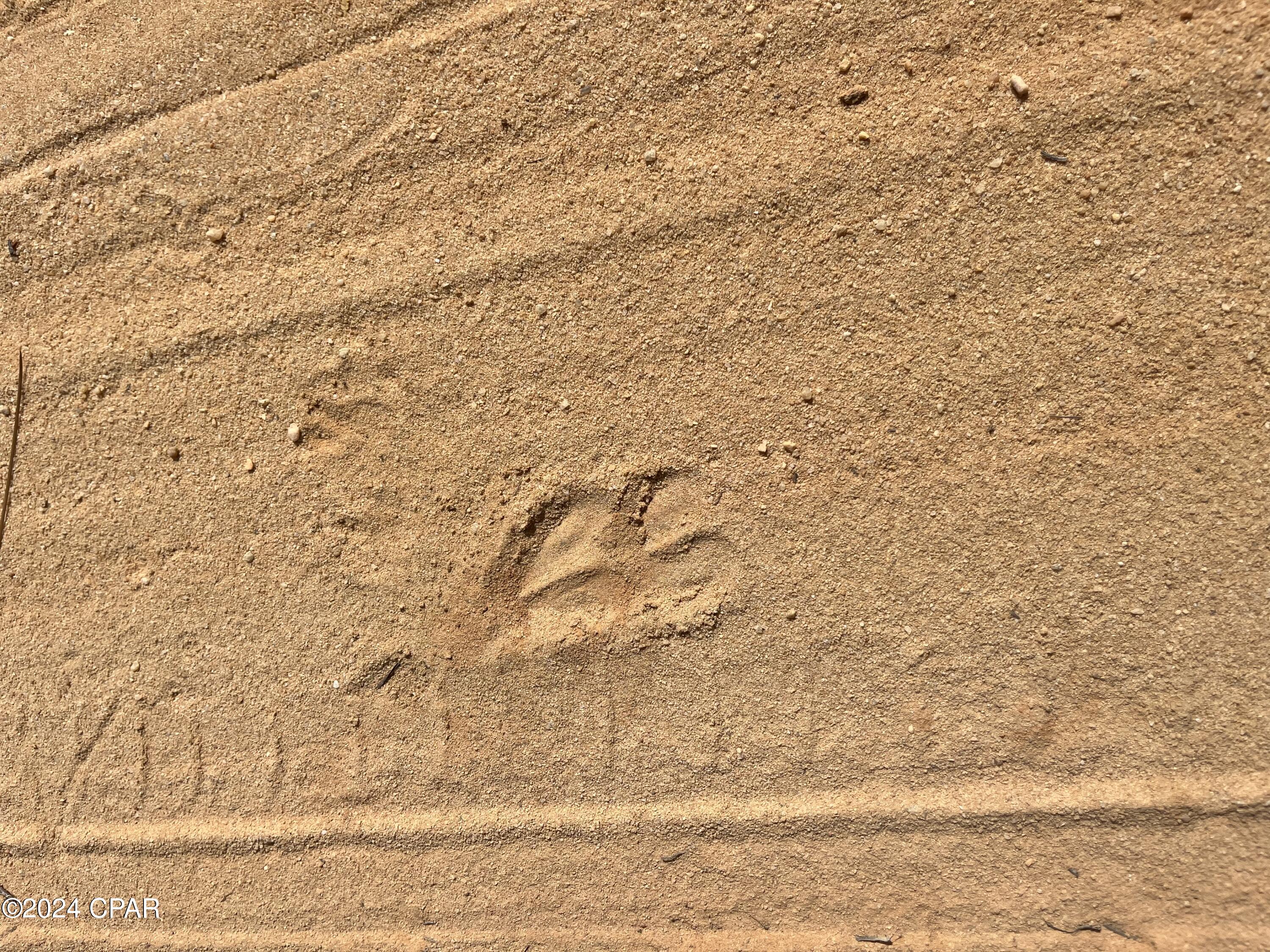 Compass Lake Hills Unit 5 - Land