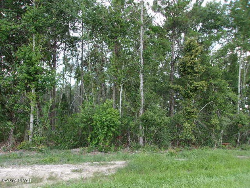 CURRENTLY UNDER CONTRACT, SELLER ACCEPTING BACKUP OFFERS - 21.85 Wooded Land. Great place to build a new home and good hunting. Located only 3 miles to town. Paved road frontage. Plenty of wildlife. Wooded with hardwoods and pines.  Get you house plans ready and don't miss out on this great spot of country living.