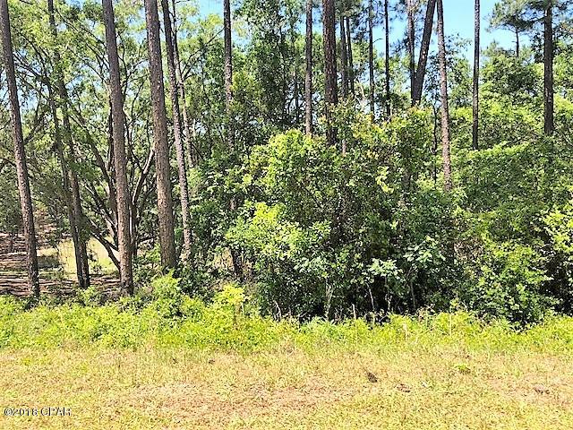 Compass Lake Hills Unit 5 - Land