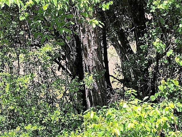 Compass Lake Hills Unit 5 - Land