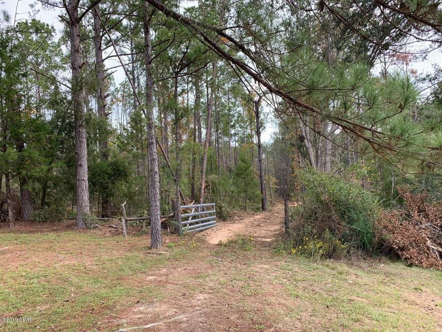 Not often a large, centrally located parcel comes available, but this one did.   With frontage on Old US Rd as well as access from River Drive, this 42.91 acre parcel has a plethora of uses from home sites residential, to neighborhood commercial to timber farming to nature trails, this property has it all.  Recently pushed out inner roads makes it easy to maneuver around while taking in all nature has to offer.  Call today for your showing opportunity!!