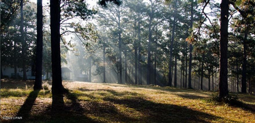 Nice Residential Lot on Anderson Dr. just a short distance south of the paved Nortek Dr. There is also an adjacent lot on Lewis Ct. which can be sold as a reduced package price!  This would give the Buyer over two acres of residential property, with room for outbuildings or animal pasture