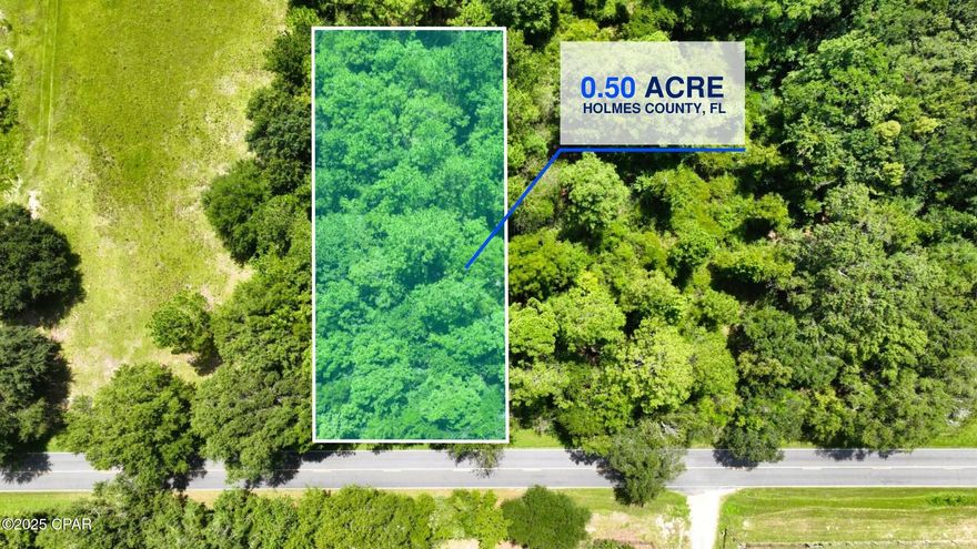 Level, high-and-dry parcel with mature pines, paved Hwy 177A frontage, and power along the road.  No HOA or restrictions - ideals for a home, mobile home, or investment.  Call today for more information.
Key Features:
*No flood zones or wetlands
*Easy year-round access
*Utilities nearby
*15 minutes to Bonifay, FL
*35 minutes to Chipley, FL
*Less than one hour drive to Dothan, AL or Panama City, FL