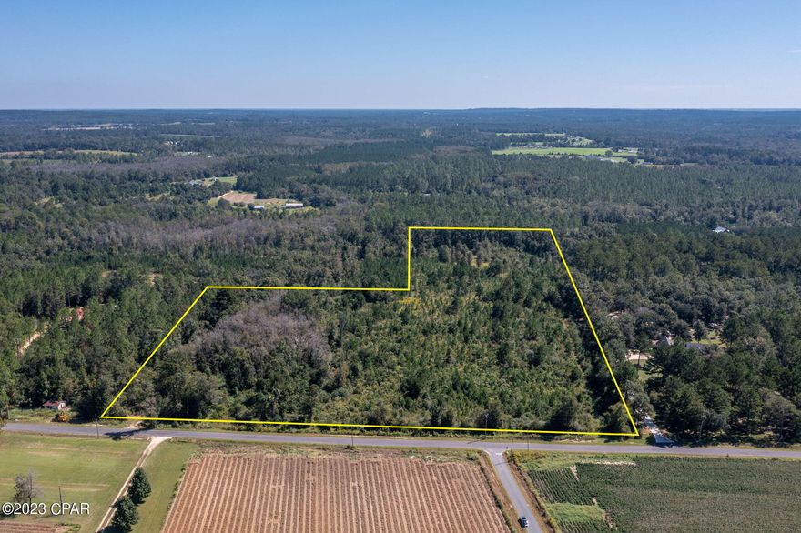 Located off the freshly paved Duncan Community Rd sits this 15+/- acre wooded parcel! Build your dream house, place a mobile home or use as a weekend retreat. Property is a short drive to Hwy 77 and Interstate 10.