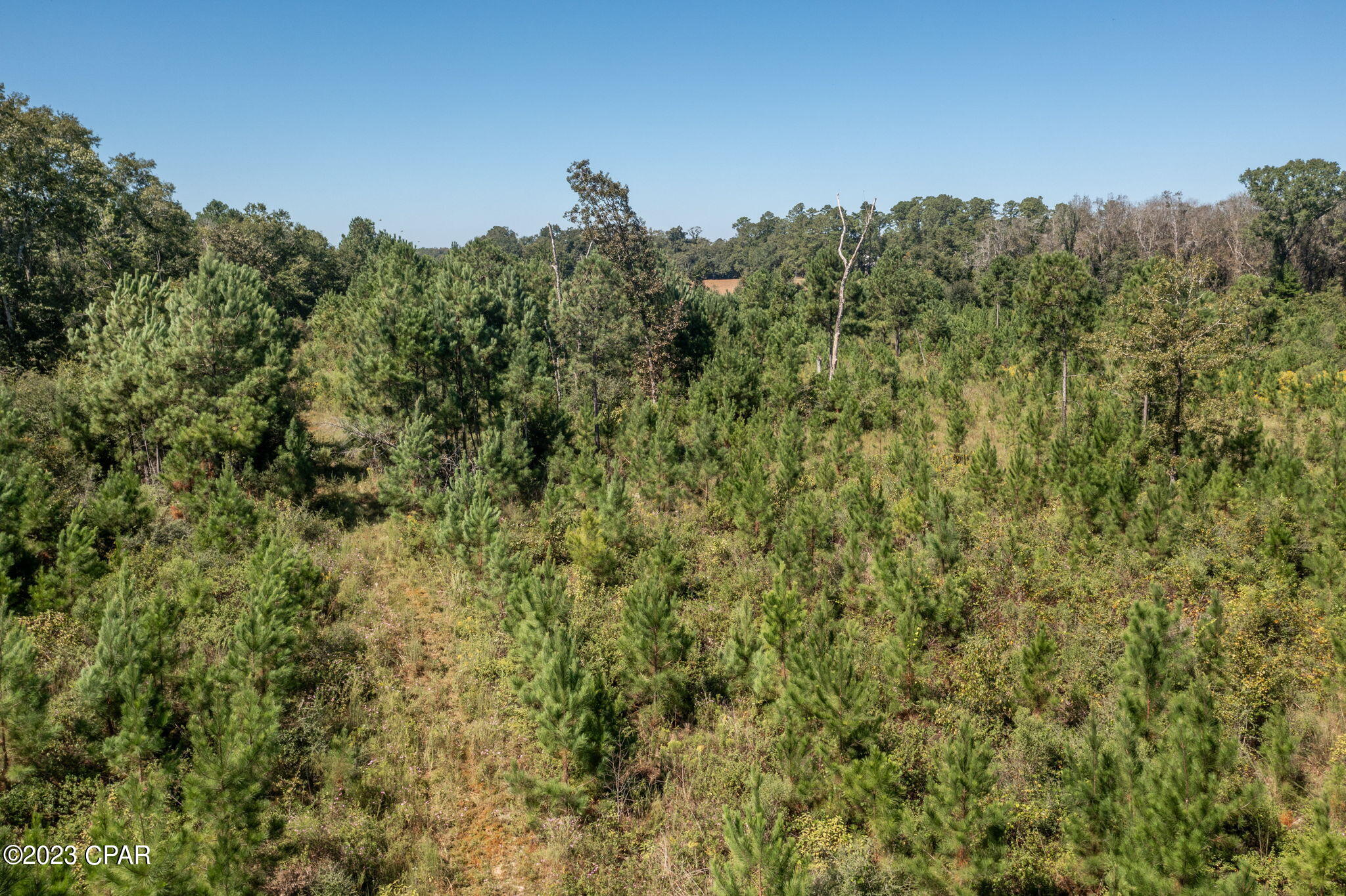 No Named Subdivision - Land