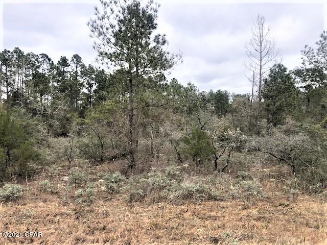 Compass Lake Hills Unit 3 - Land