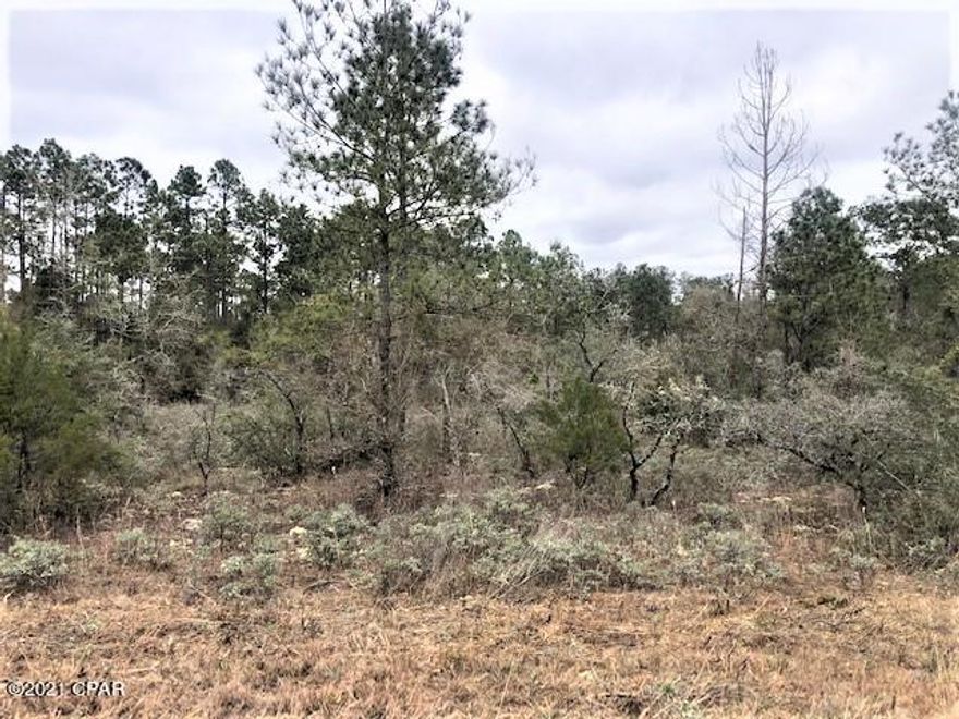 Nicely wooded residential building lot located in lovely Compass Lake in the Hills.   With lot ownership you have access to 2 lakes, clubhouse facilities, RV parking, golf driving range, tennis,swimming pool and more.   You have easy access south to Panama City on the coast and north to Marianna for shopping.