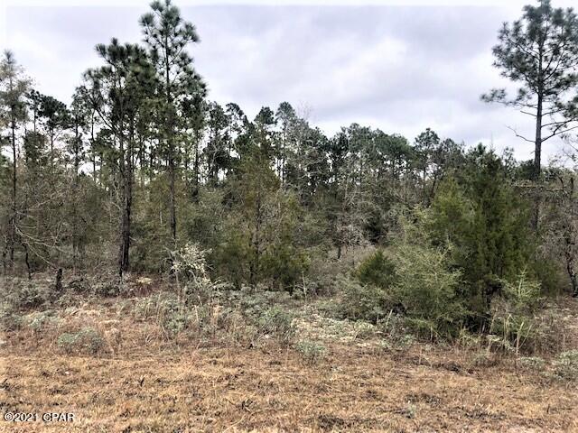 Compass Lake Hills Unit 3 - Land