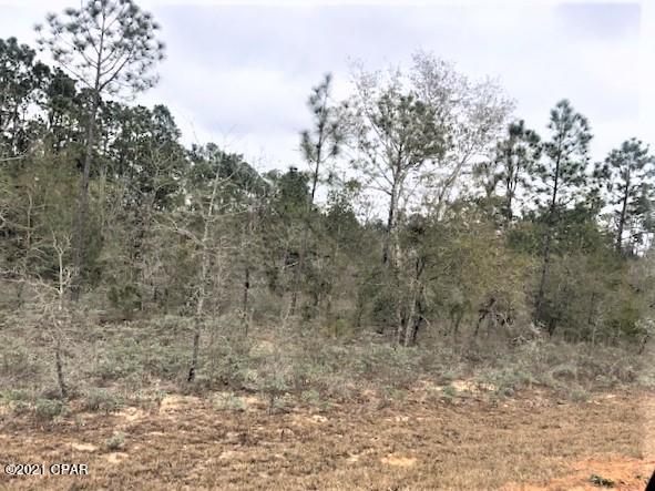 Compass Lake Hills Unit 3 - Land