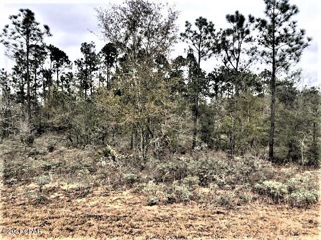 Compass Lake Hills Unit 3 - Land