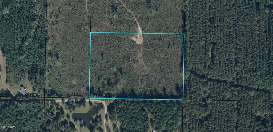 Plan for the furture!  This could be a great place to start.  The property has been clear cut.  You could easily replant pines or build a home.  Only miles from airport, beaches and dog track.