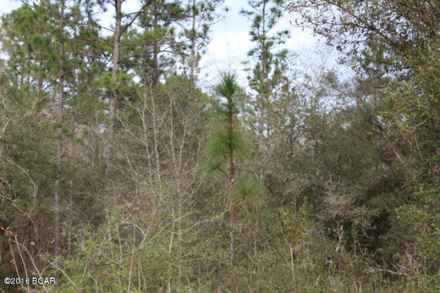 Amazing find - This beautifully wooded, wild, 10 acre Florida wilderness is covered in huge pines, palmettos, and thick cypress.  Deer and turkeys are abundant as they roam freely across thousands of acres of neighboring forest lands.  This tranquil parcel has few neighbors, ensuring your privacy and the solitude you are searching for - yet is less than 2 minutes driving from S.R. 73. A quick drive from the city puts you here in minutes.  Build your own cabin getaway under the shade of the towering pines and experience the pride of owning your piece of nature and the solitude of the north Florida wilderness. Owner is reluctant to give up this very desirable property, but because of family considerations, is highly motivated to sell quickly.  Please call with any questions.
