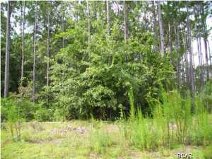 BAY COUNTY, CLOSE TO THE NEW AIRPORT AND CLOSE TO THE BEACH 1.40 Acre parcel close to the new AIRPORT. If you are looking for a large lot which is out in the country but close to the new airport and just a short drive to Panama City Beach then this is it. If you are a hunter or fishermen this is a perfect location to have a home or camp. Otter Creek runs right into Pine Log Creek, right into the Choctawhatchee River. The owner says this is the highest parcel in the area and had not flooded in all the years he has owned it. You can get to this lot either by going down Steelfield Road or Pine Log Rd. This is a small community with mostly long time owners. Wooded property is large enough to spread out, have a garden, have a horse. Launch your boat and be in the middle of some of the