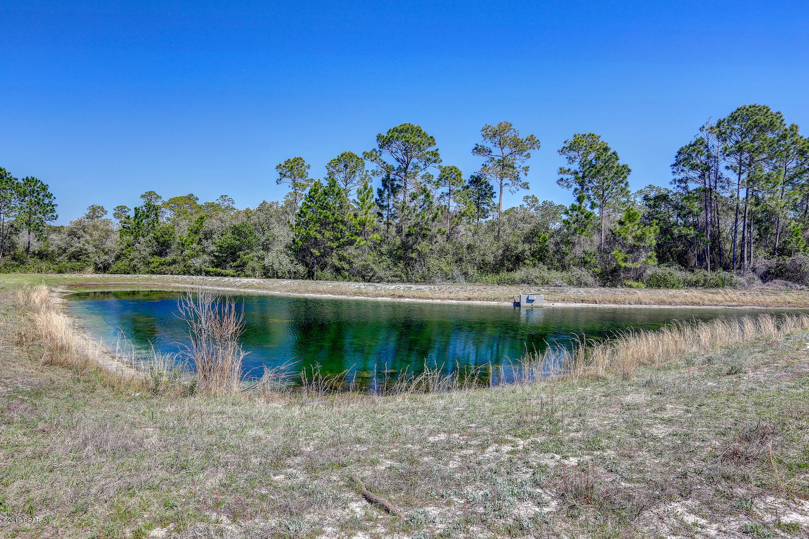 Palmetto Trace - Residential