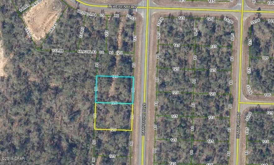 Nice building lots in Sunny Hills.  Build your home on one and have the other for extra space. Not far from Porter Pond and other fishing lakes in the area.  Boat Lake for seasonal swimming and gatherings. Lots are approx. 40 miles from Panama City and 20 miles from Chipley.  Lots are deed restricted to site built homes only. No mobiles.