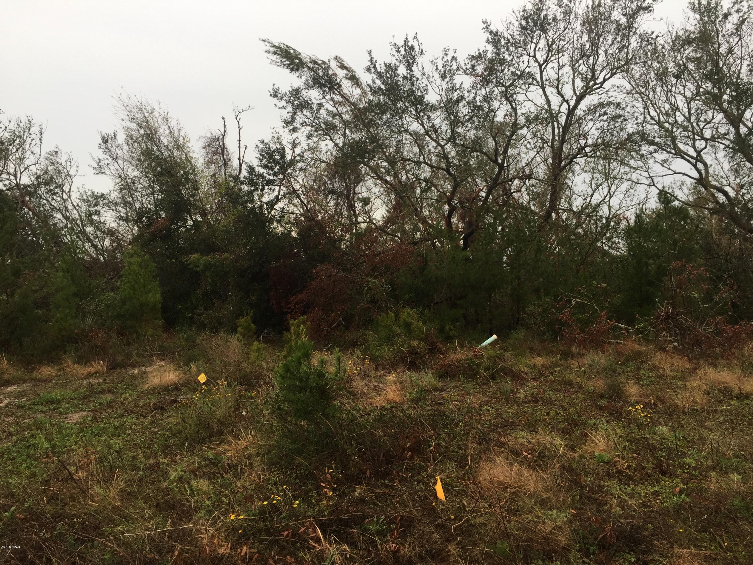 Sanctuary Beach - Land