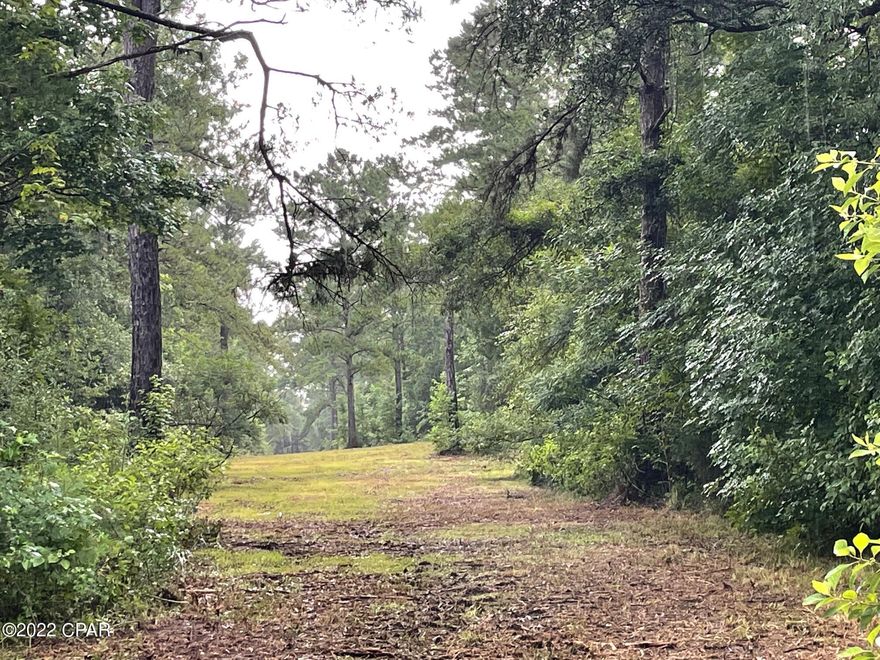 This property is under contract but seller is taking backup offers.   
55 +/- ACRES that joins the FLORIDA CAVERNS STATE PARK. Located close to Chipola College and Jackson Hospital. Great hunting, roads and shooting lanes and managed deer population. Could be your private retreat or homesite but with great opportunity for a subdivision. The acreage appears all high and dry, zoning is residential being 1 dwelling per 1 acre. The woods do have some hurricane damage but nature is working on it everyday.