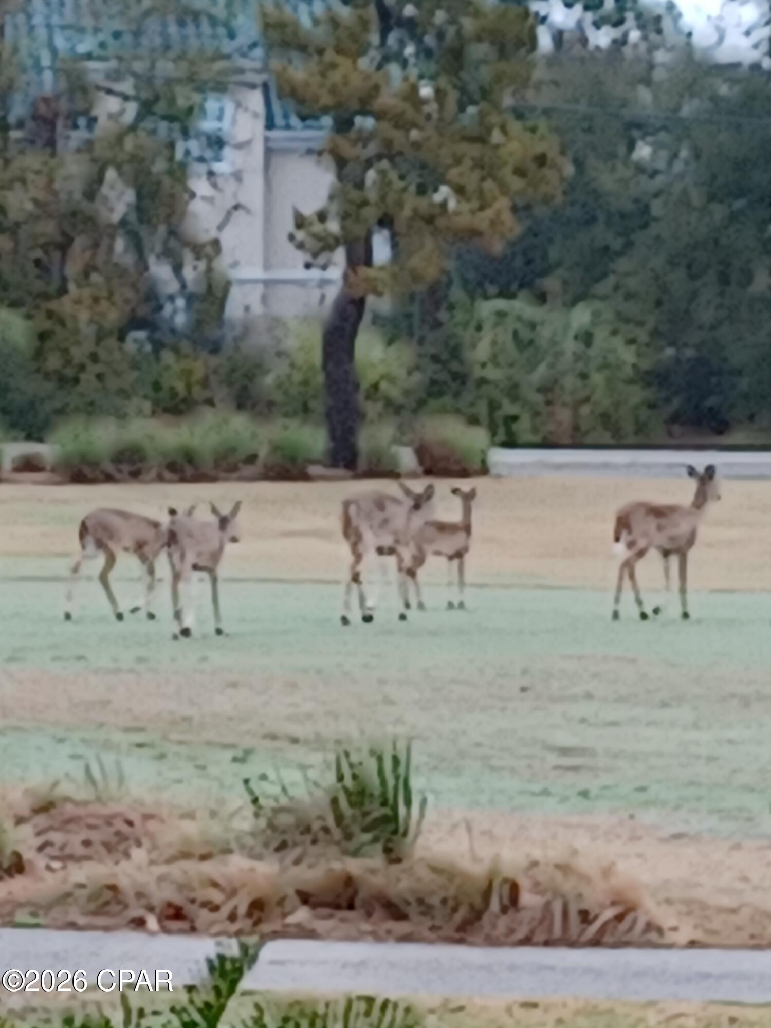 Legend Place Condos - Residential